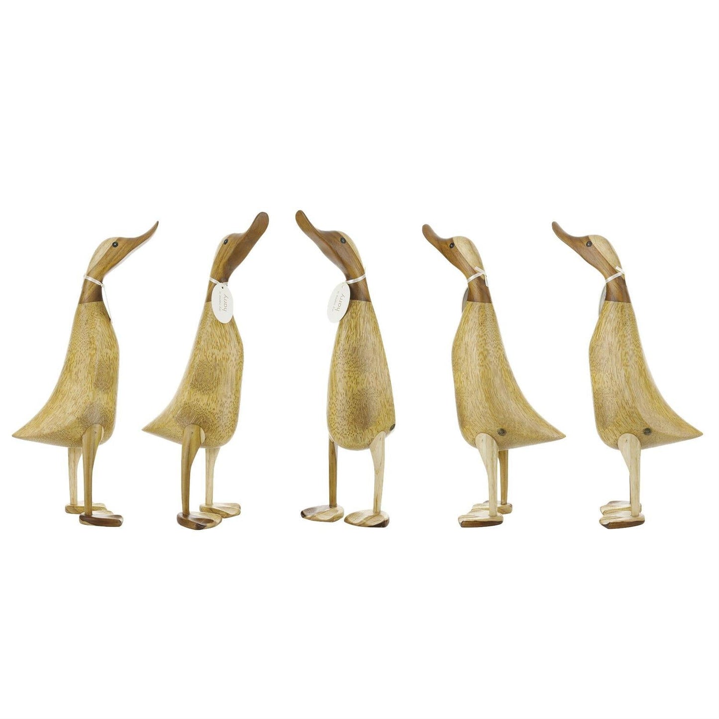 DCUK Natural Ducklets Clearance