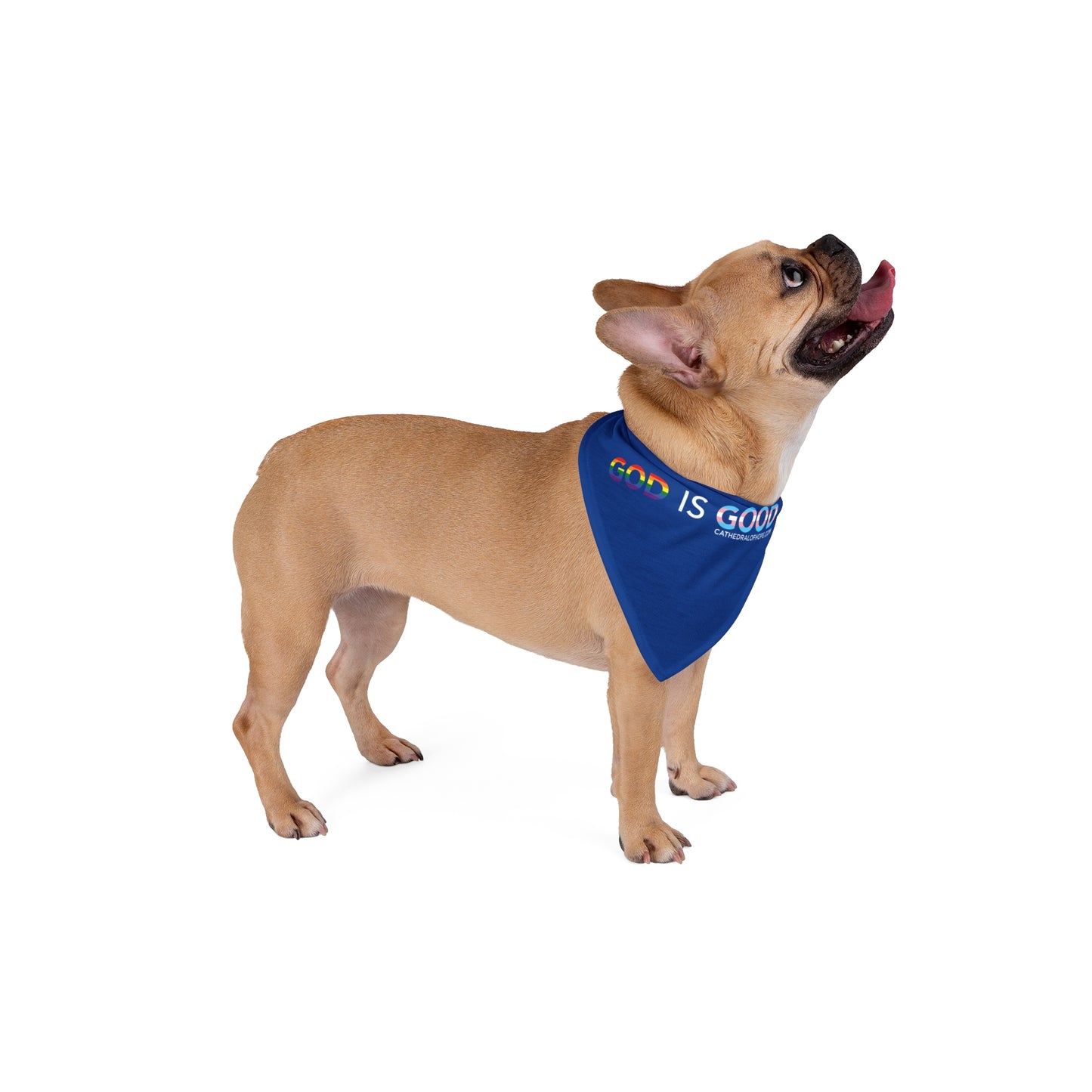 God is Good Pride-Logo Dog Bandana