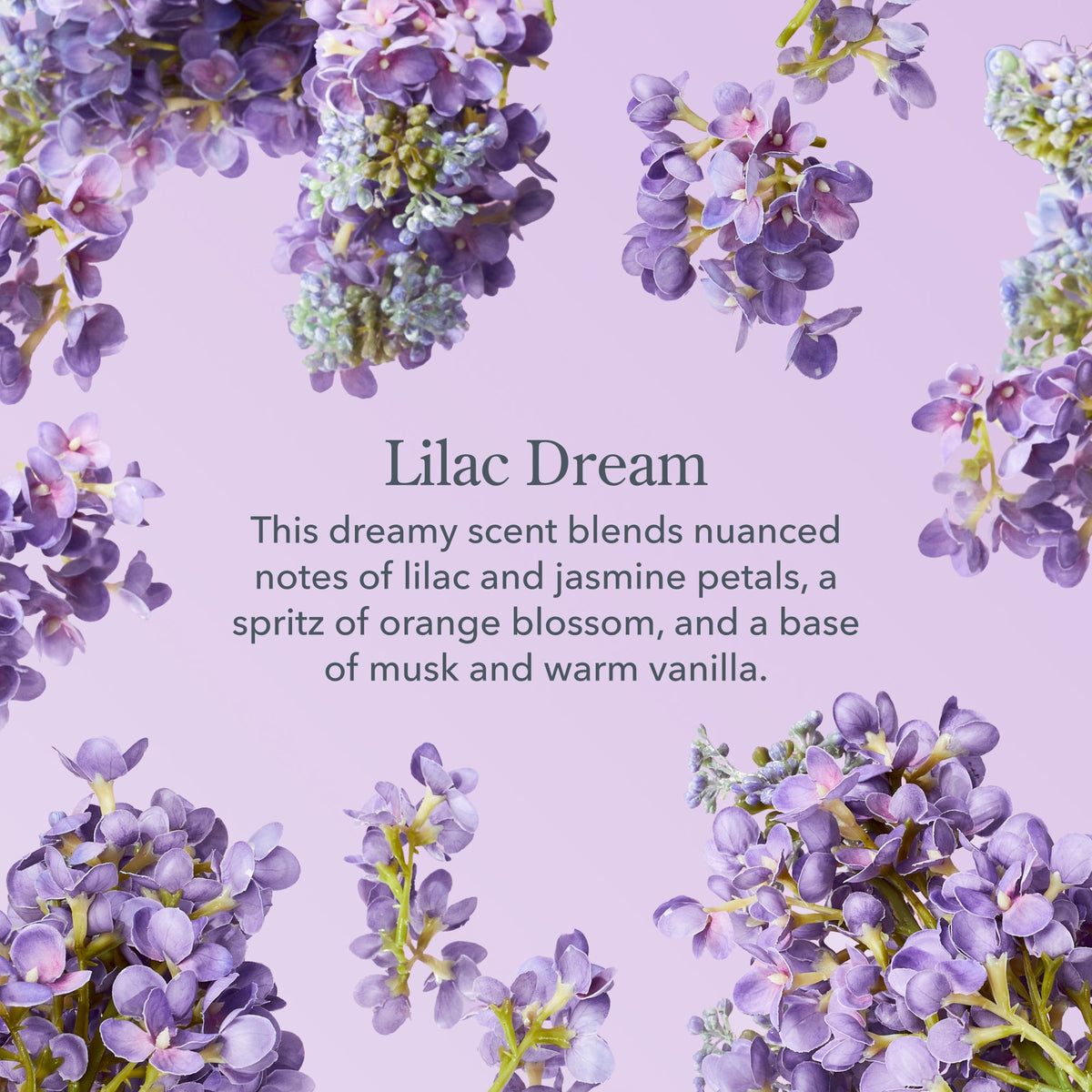 Lilac Dream Lip Balm