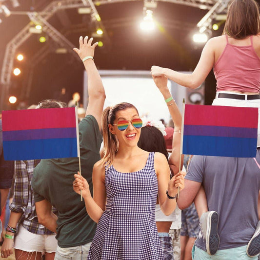 Bisexual 12x18in Stick Flag