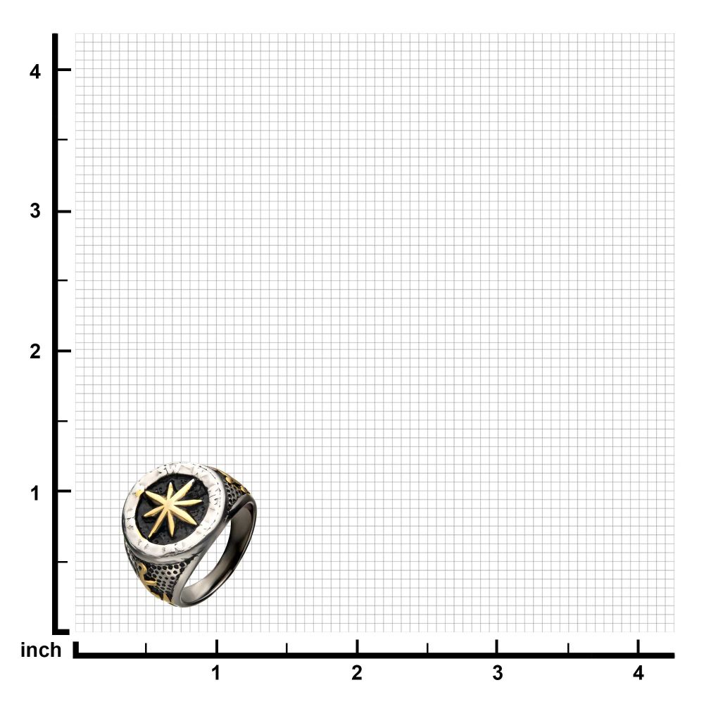 Stainless Steel Gold IP & Black Oxidized Vintage Anchor & Compass Signet Ring