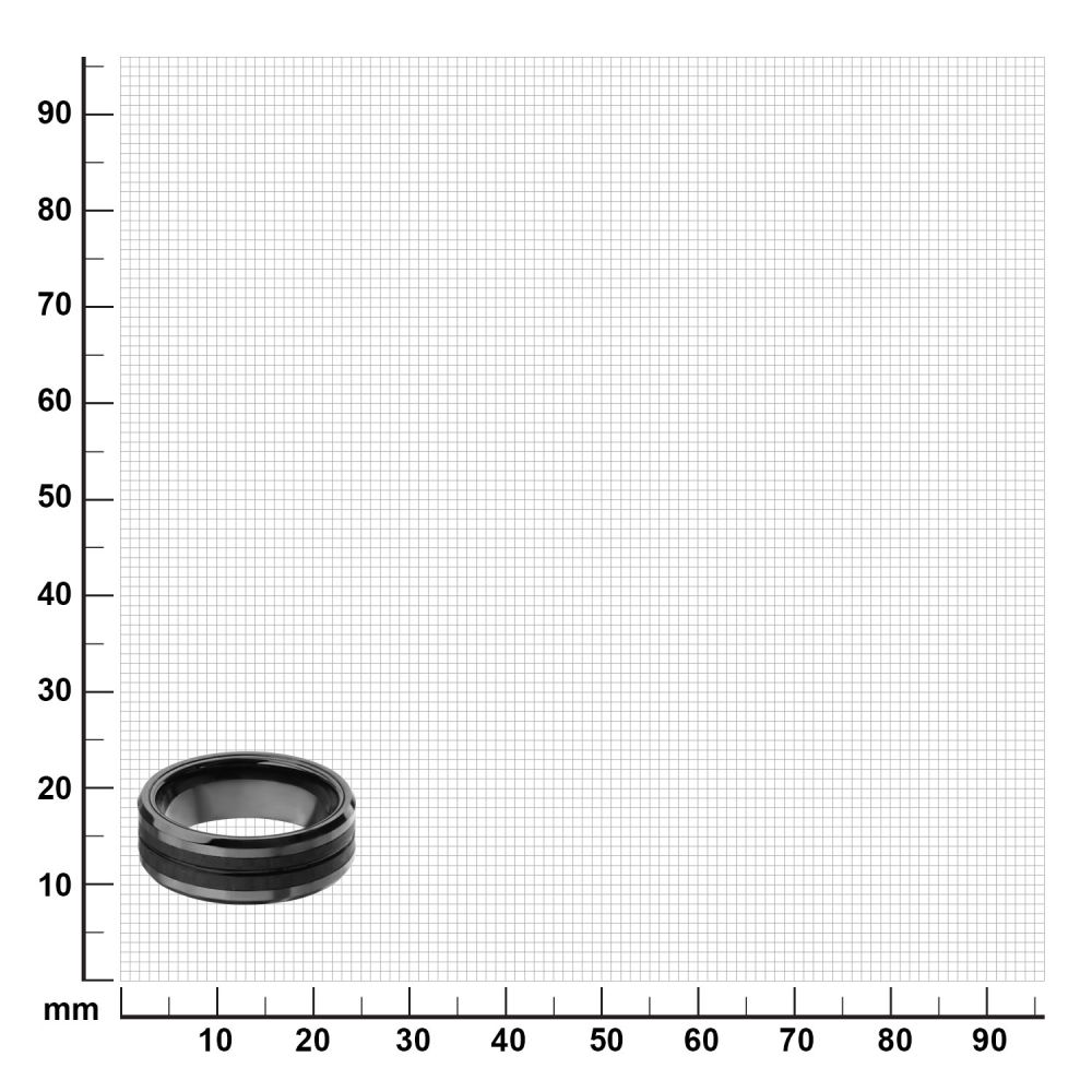 Black IP with Double Line Solid Carbon Fiber Ring