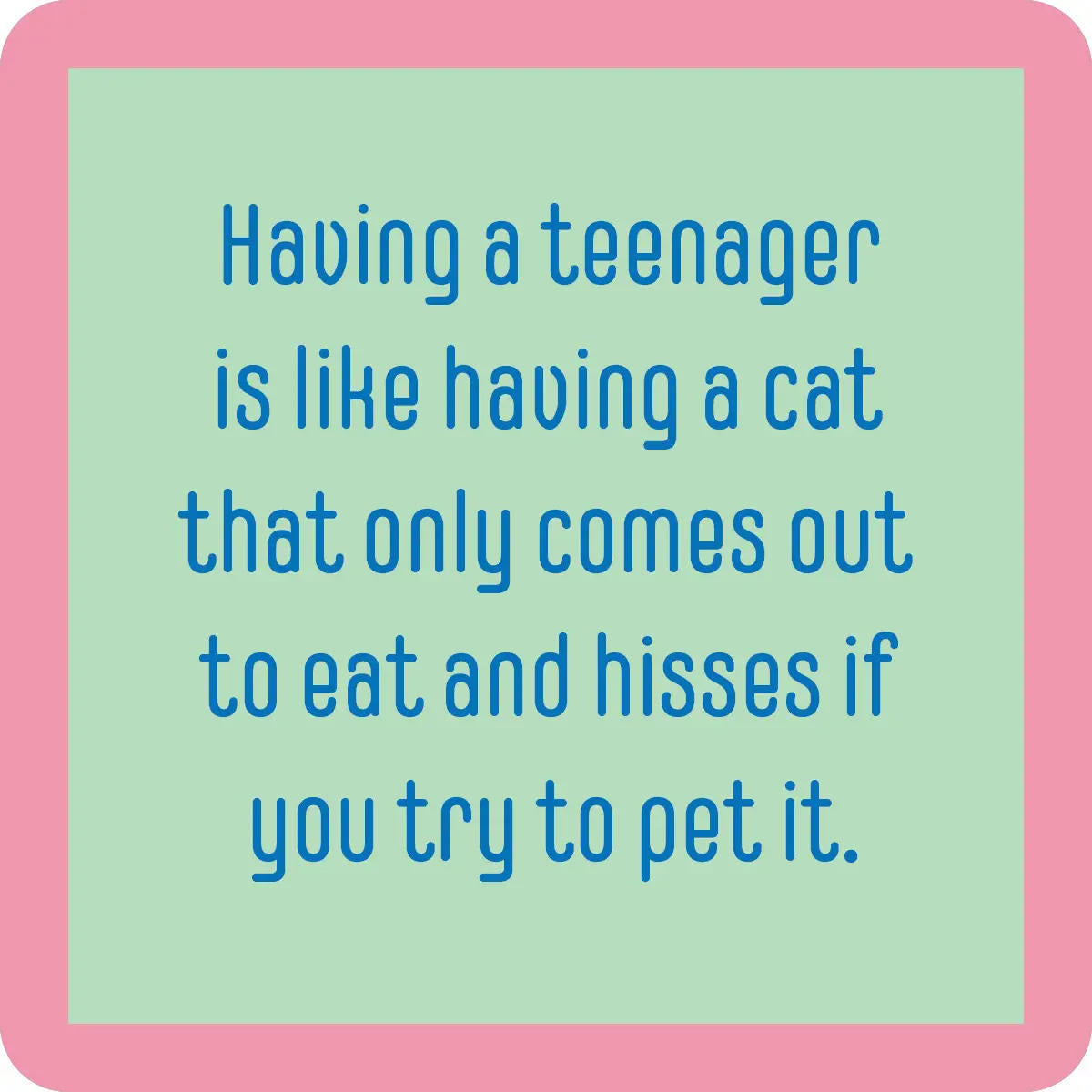 Teenager/Cat Coaster - Sale