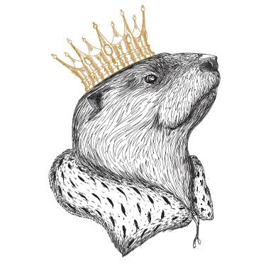The Noble Otter