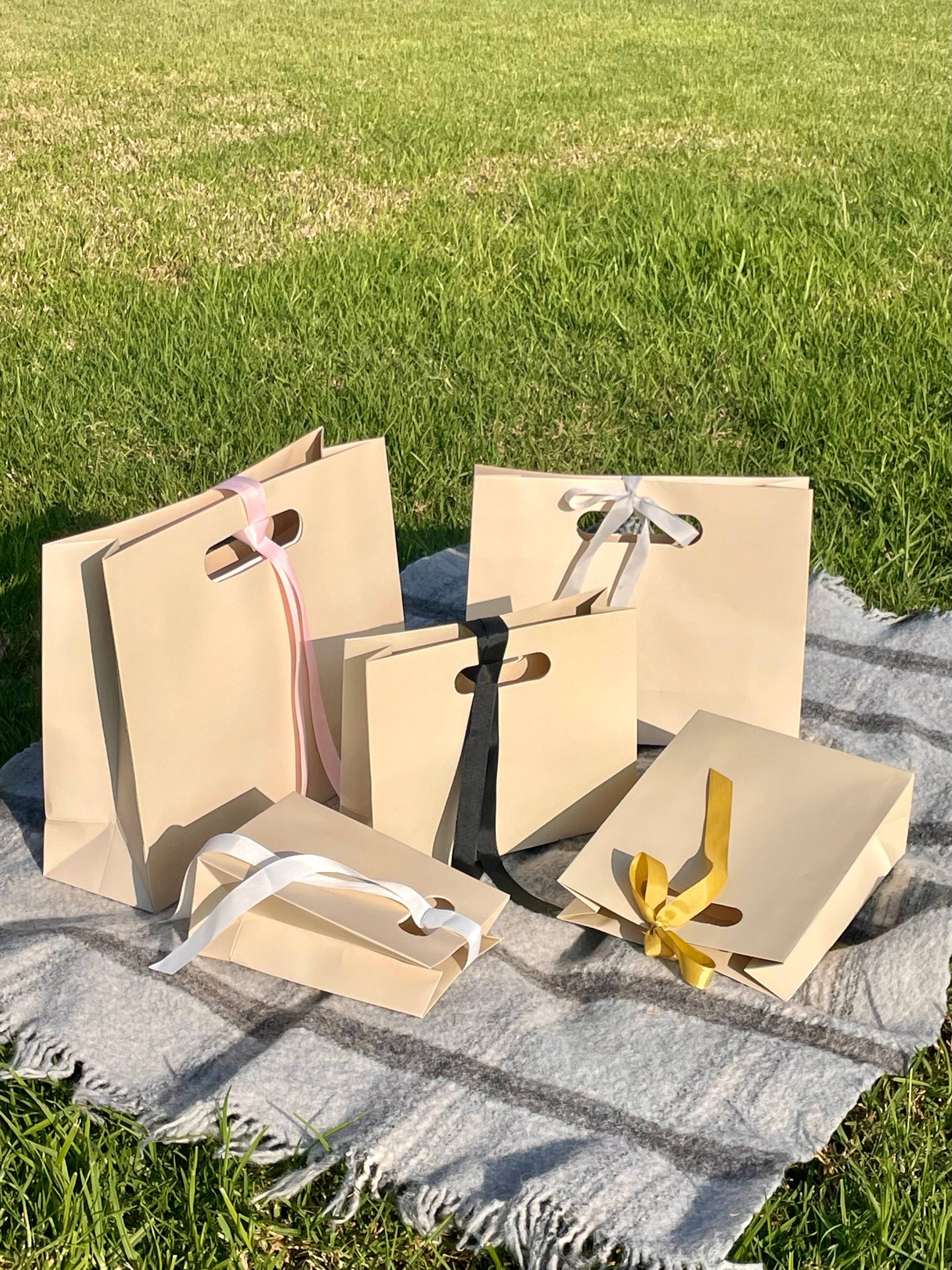 Soft Light Beige Cutout Handle Gift Bag