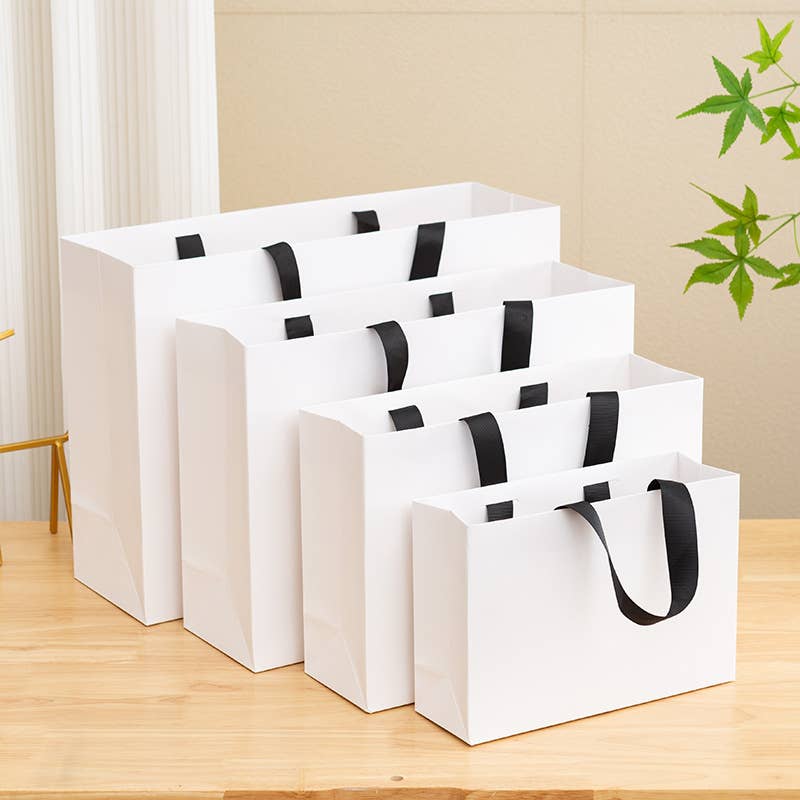 Premium Threaded Rope White Paper Gift Bag