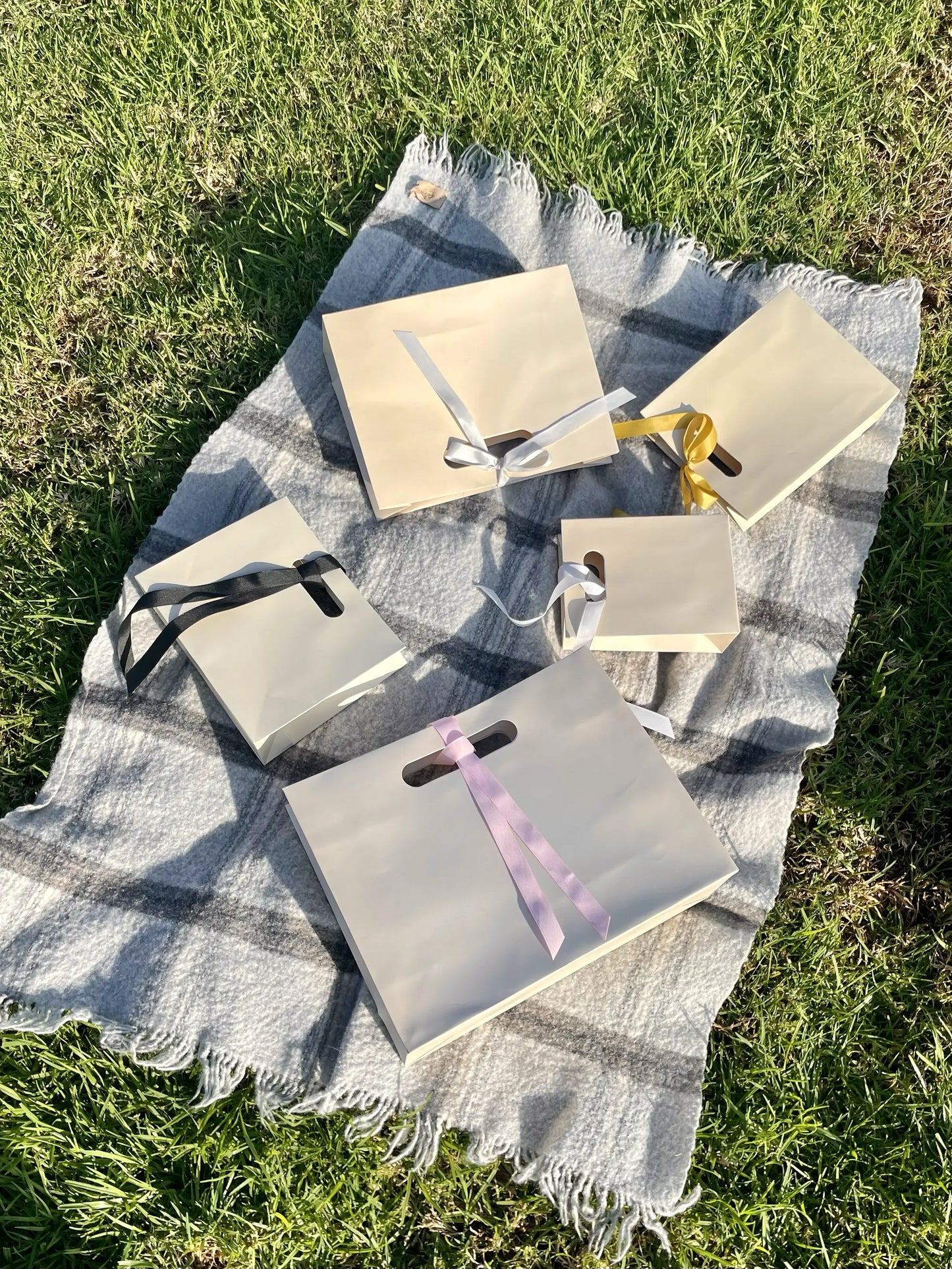 Soft Light Beige Cutout Handle Gift Bag