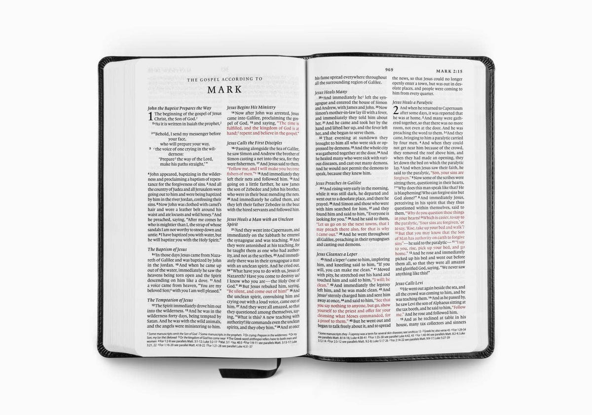 ESV Premium Church Bible, Large Print, Red Letter, TruTone®