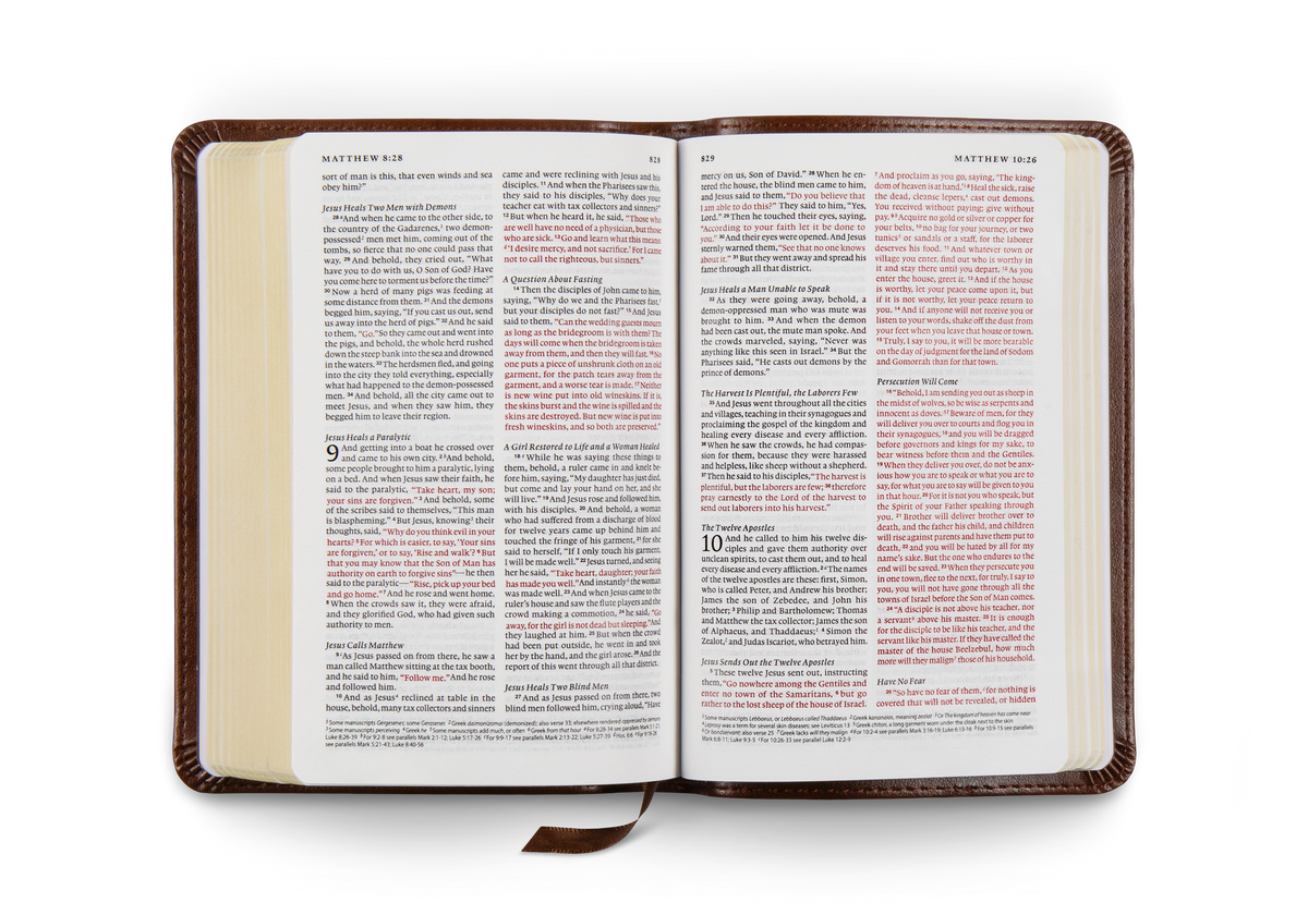 ESV Compact Bible, Red Letter, TruTone®, Brown