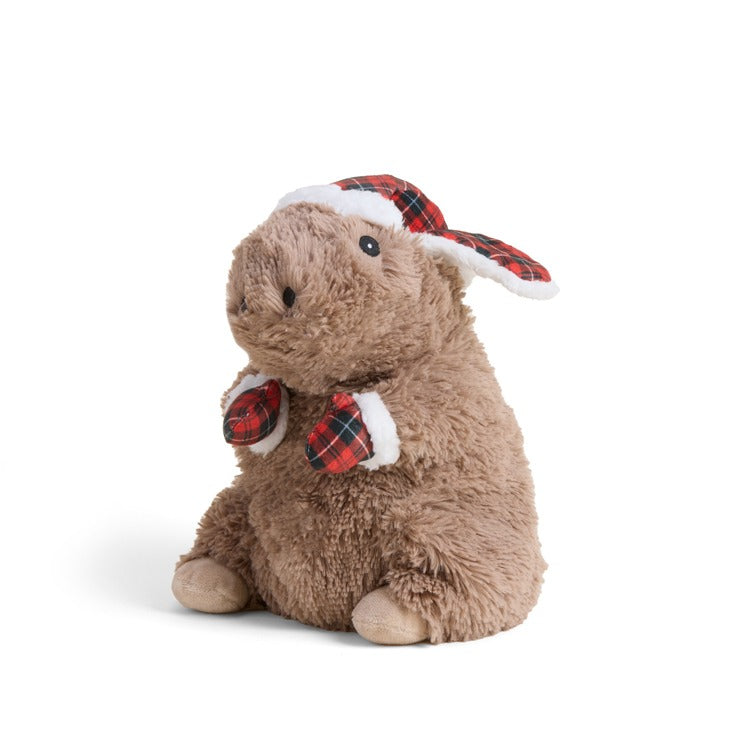 Cozy Capybrara Warmie