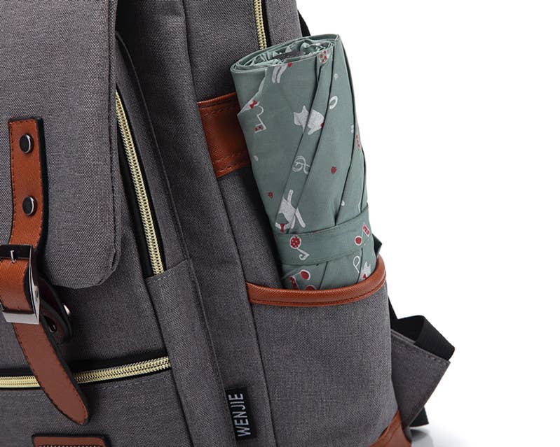 Backpack and Laptop Bag