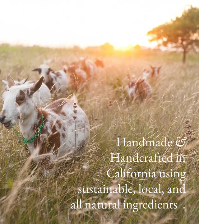Cedar & Redwood | Goat Milk Hand & Body Lotion