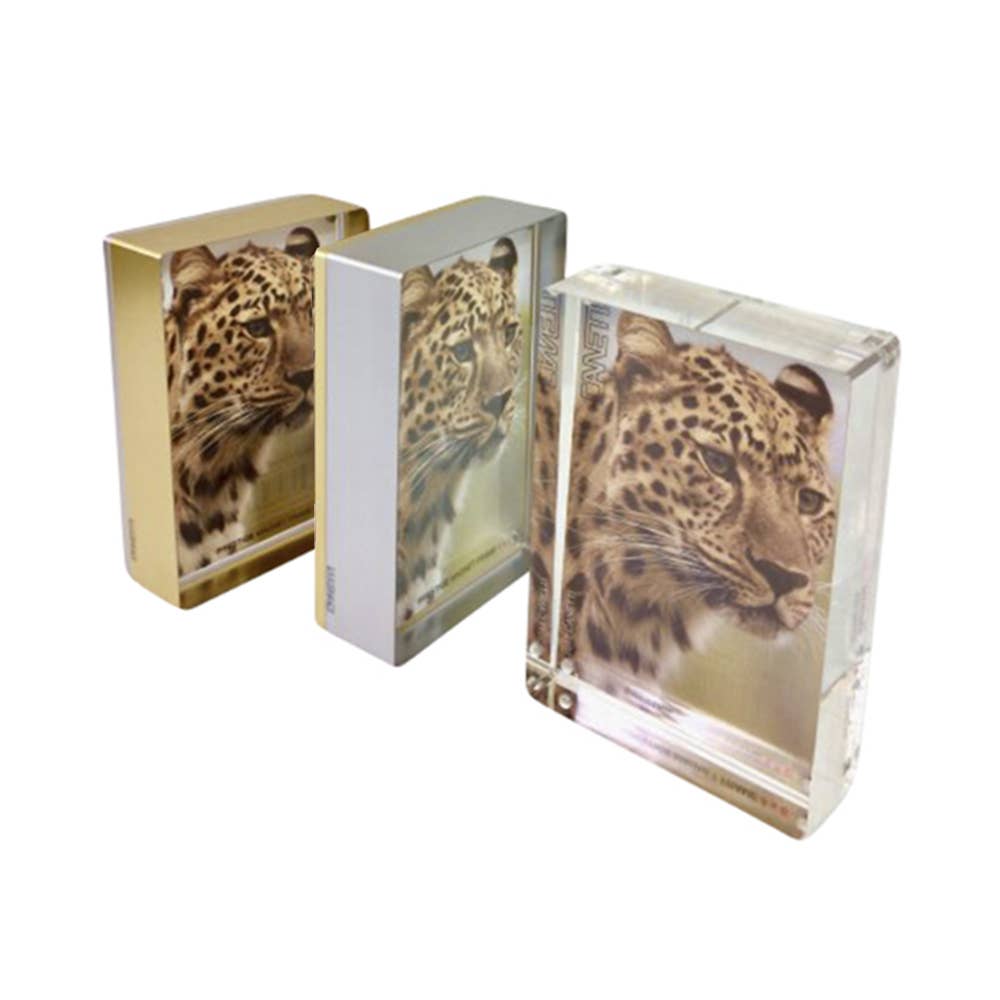 Prestige Magnet Frame