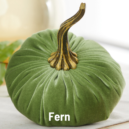 Velvet Large Pumpkin Fern Color