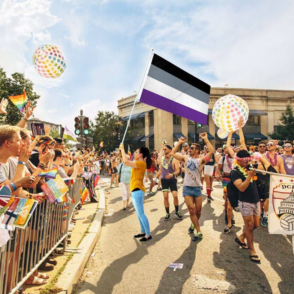Asexual Flag 3x5ft Poly