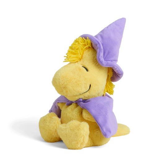 Wizard Woodstock Warmie
