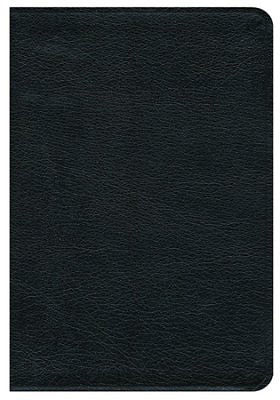 Premium NRSV Gift Bible in Black/Leather by Abingdon Press