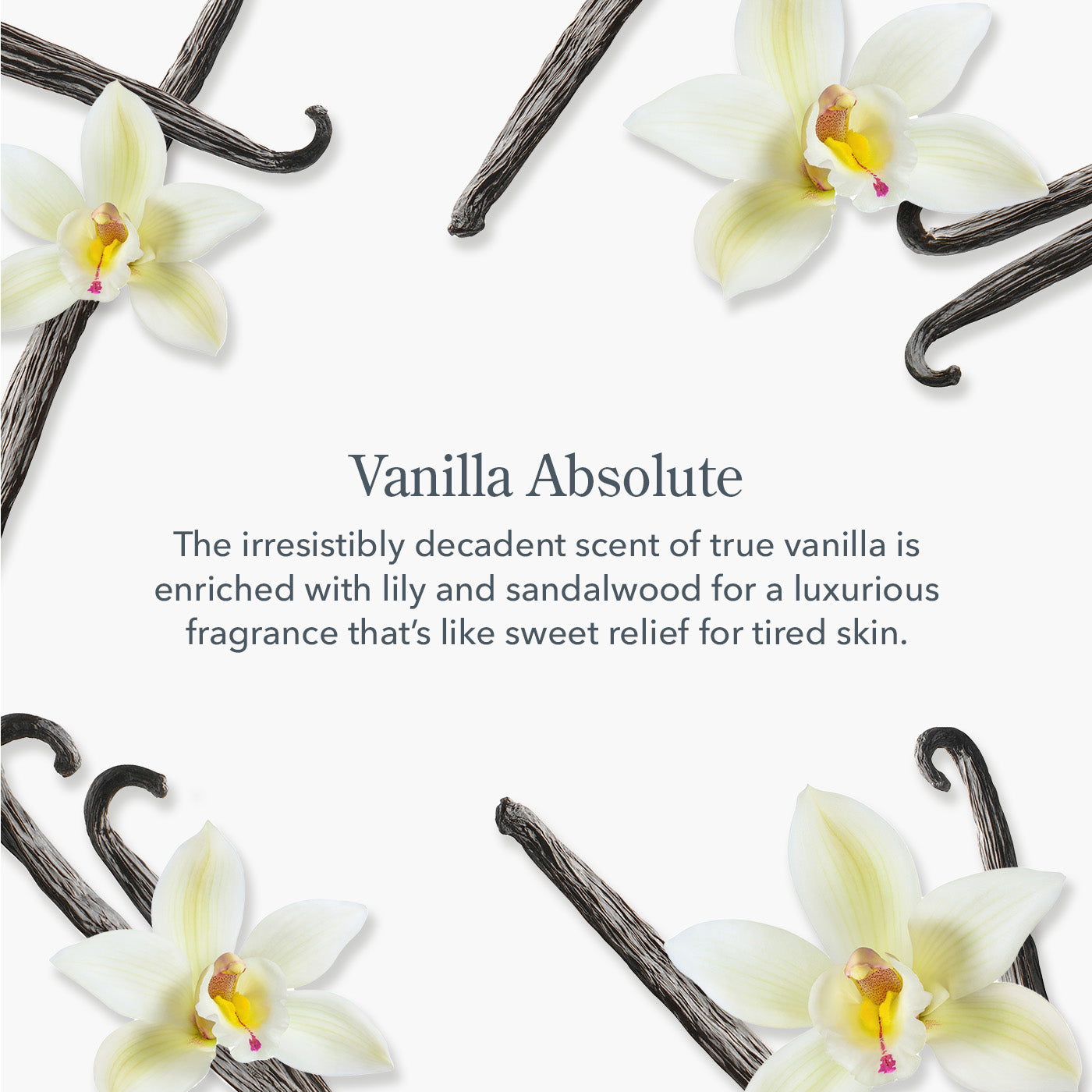 Vanilla Absolute 2oz Hand Cream