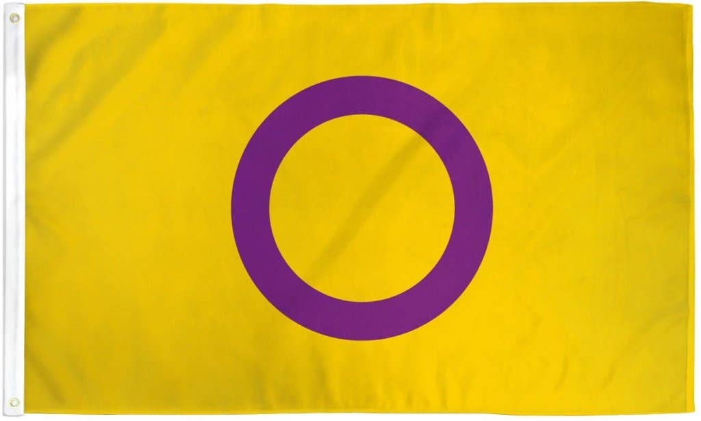 Intersex Pride Flag 3x5ft Poly