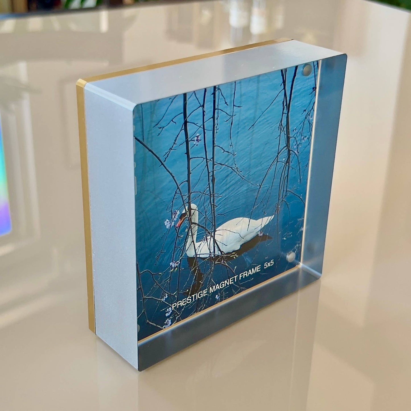 Prestige Magnet Frame
