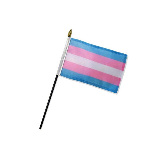 Transgender 4x6in Stick Flag