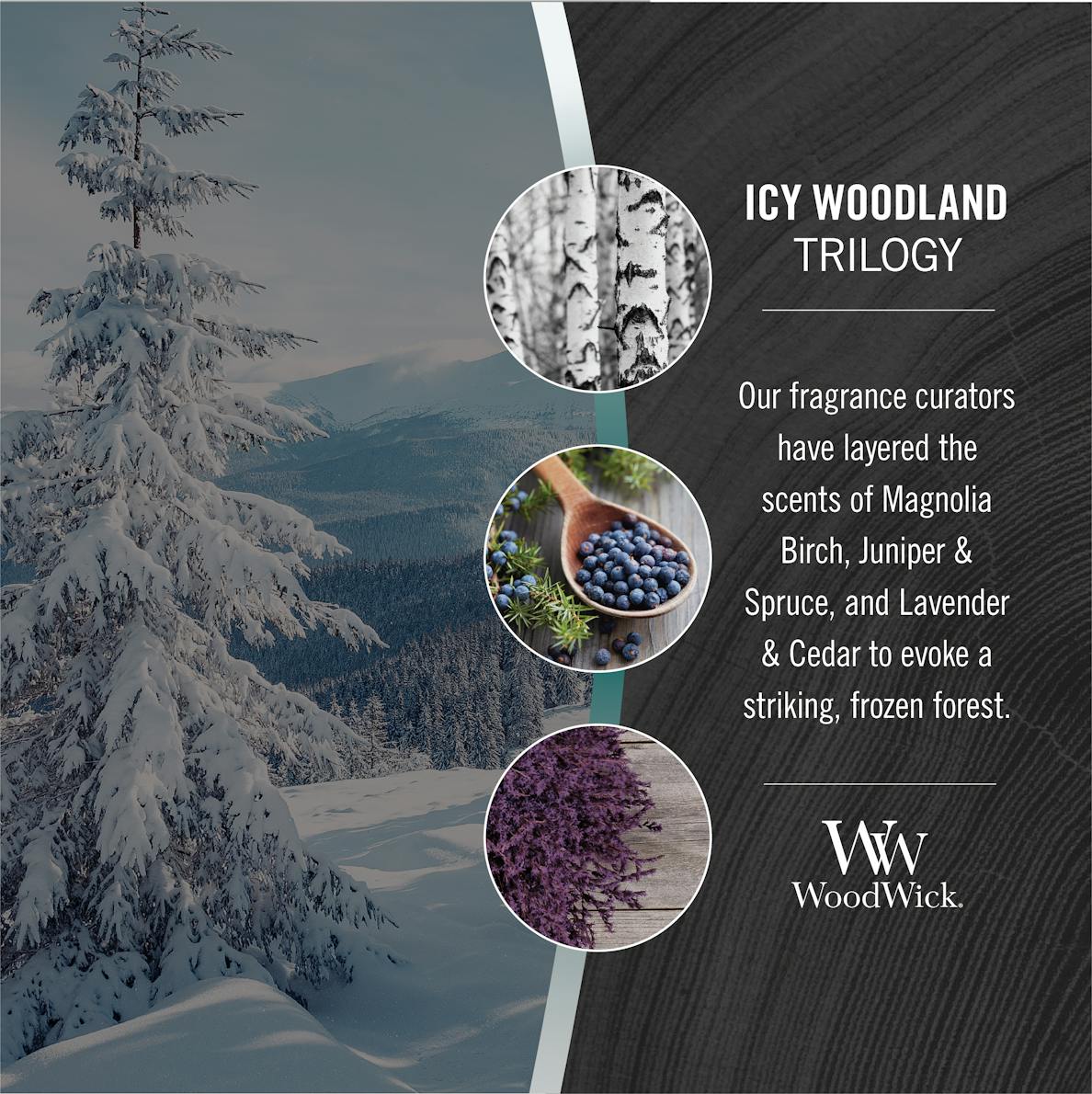 Icy Woodland Trilogy Hourglass Candle