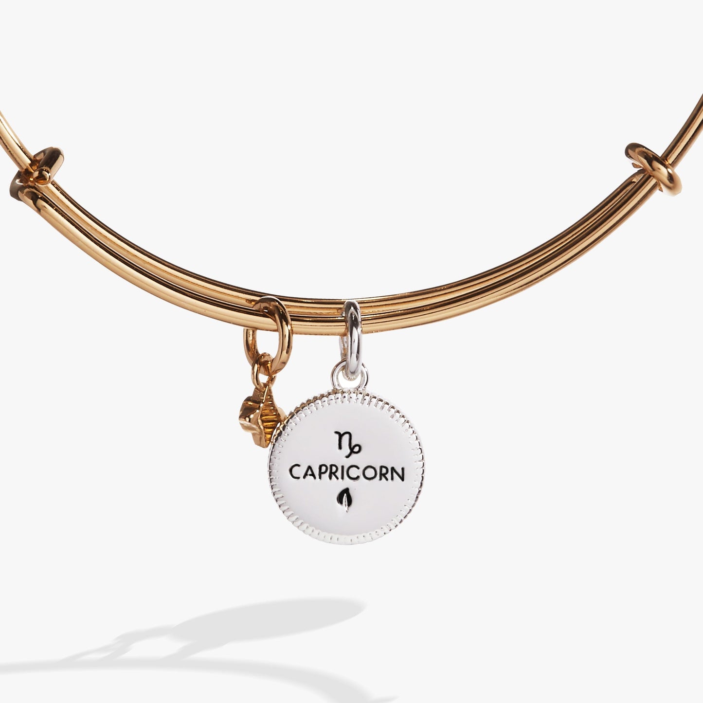 Capricorn Zodiac Charm Bangle