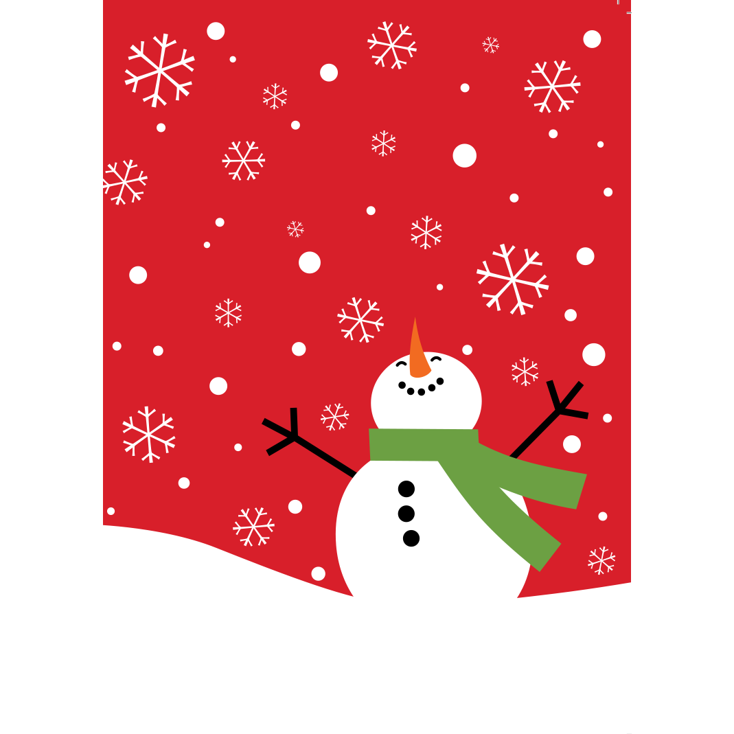 Joyful Snowfall - 8 Boxed Holiday Greeting Cards 