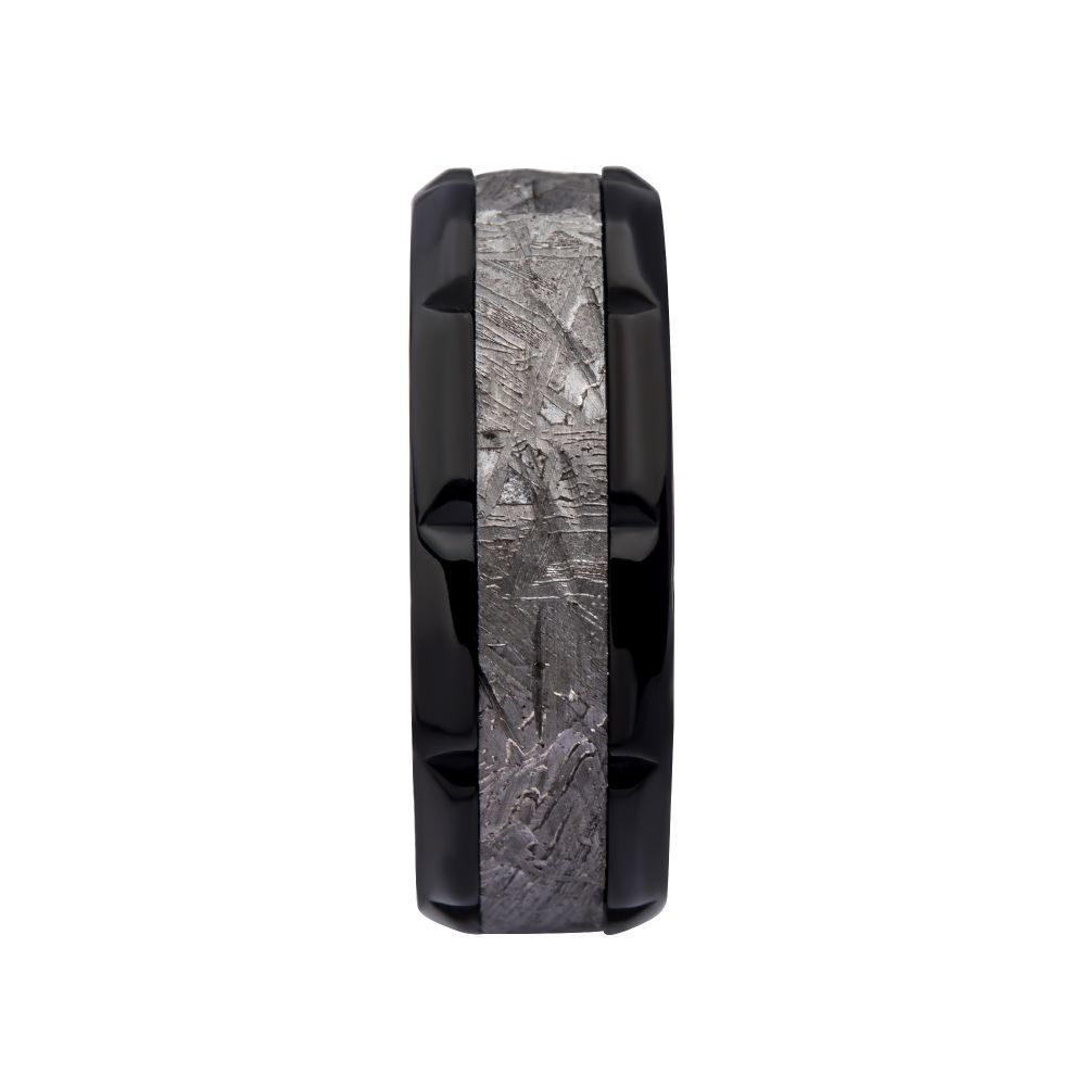 Meteorite Inlay Black IP Notch Ring