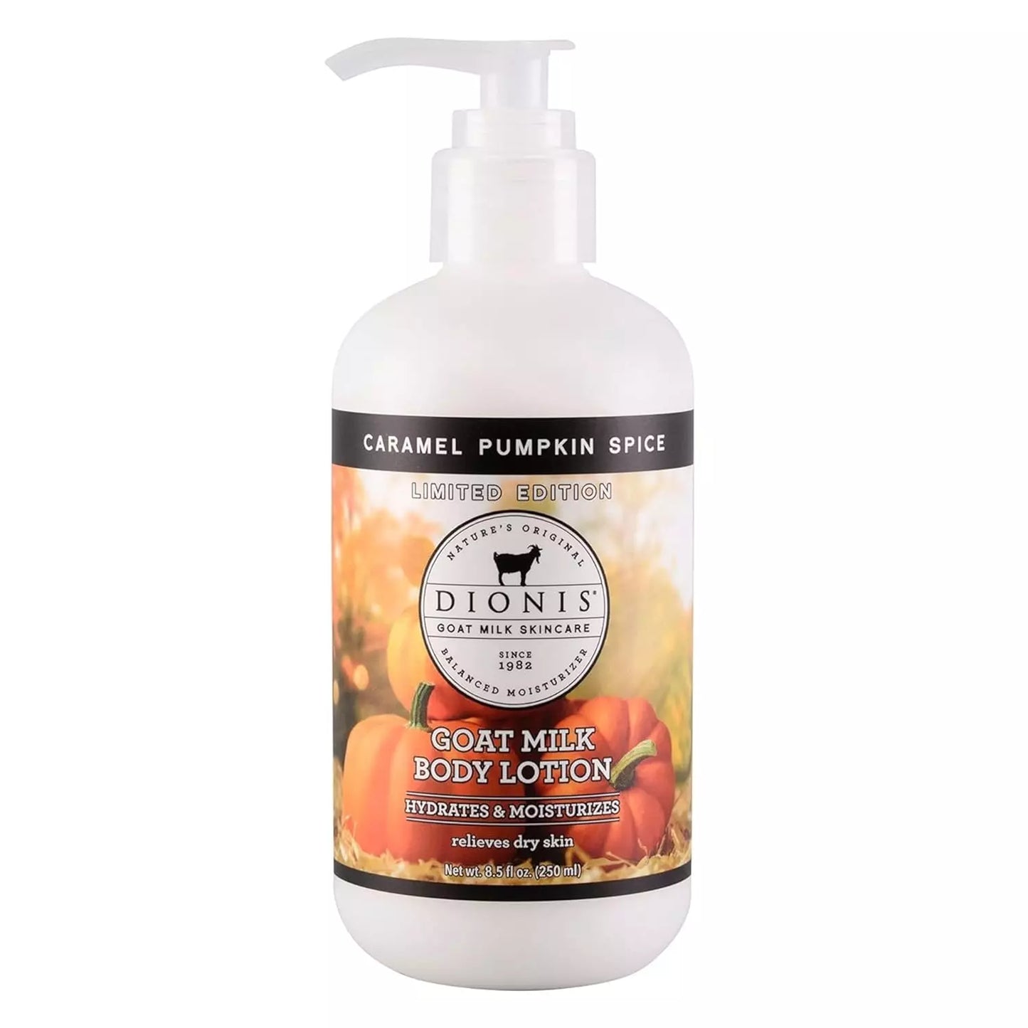 Caramel Pumpkin Spice Body Lotion - 8.5oz - Clearance