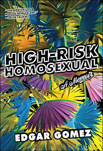 High-Risk Homosexual: A Memoir by Edgar Gomez